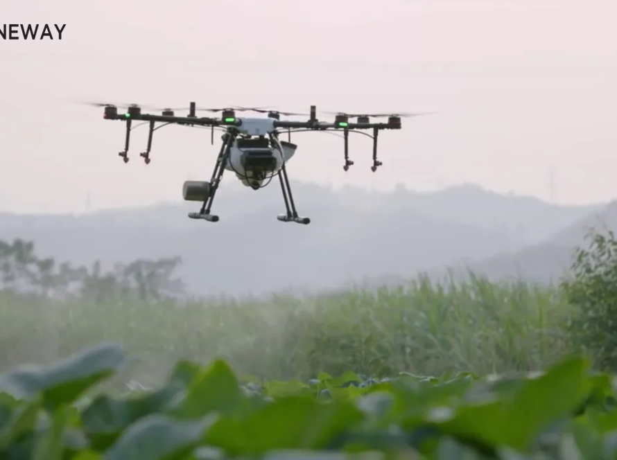 L’agriculture de précision révolutionnée par les drones