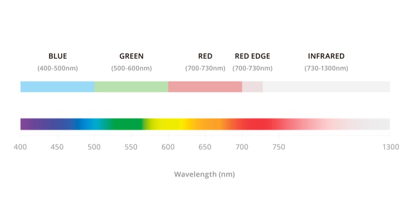 Light Wavelengths